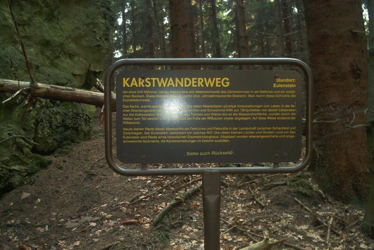Ferienwohnungen Stricker Harz Walkenried 外观 照片