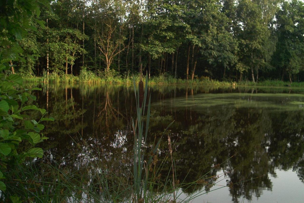 Ferienwohnungen Stricker Harz Walkenried 外观 照片