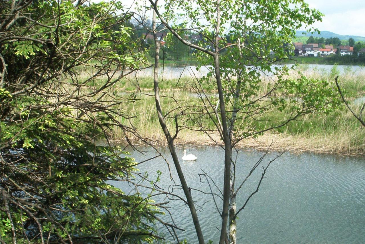 Ferienwohnungen Stricker Harz Walkenried 外观 照片